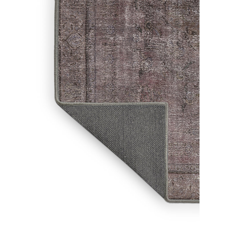 Jadiel Oriental Indoor Rug, Rectangle 2' x 3'