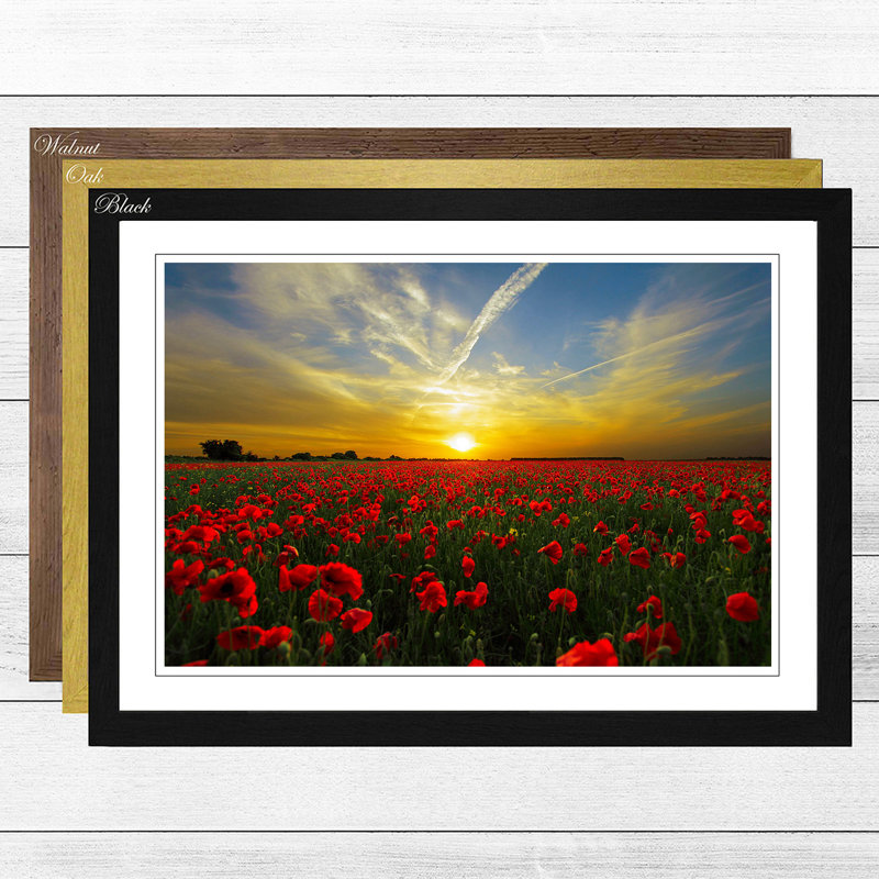 Single Picture Frame Print, Black