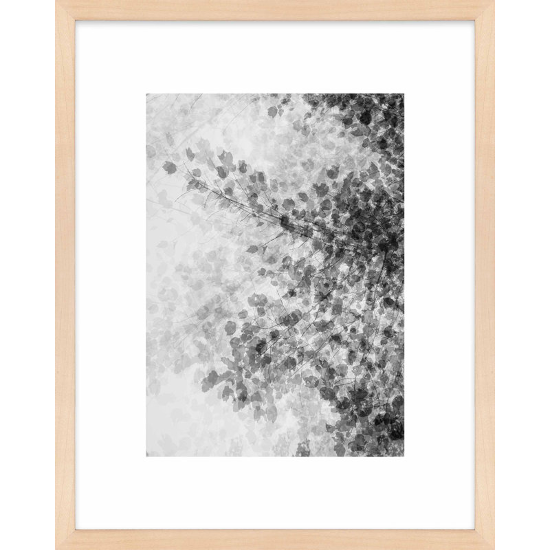 Pattern And Shadow by Laura Zimmerman - Framed Wall Art, 25" H x 20" W, Maple
