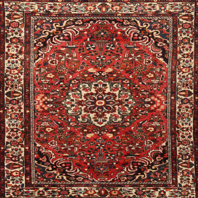 Dannielle Oriental Indoor Rug