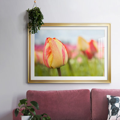 Spring Sherbet, impression sur papier encadrée