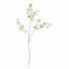 Meadowood Japanese Dodan Branch 50"