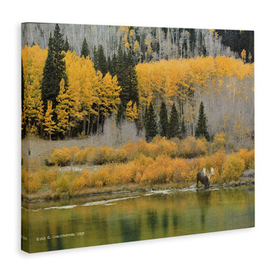 Moose at Priest Lake Canvas Wall Art by Chris Vest
