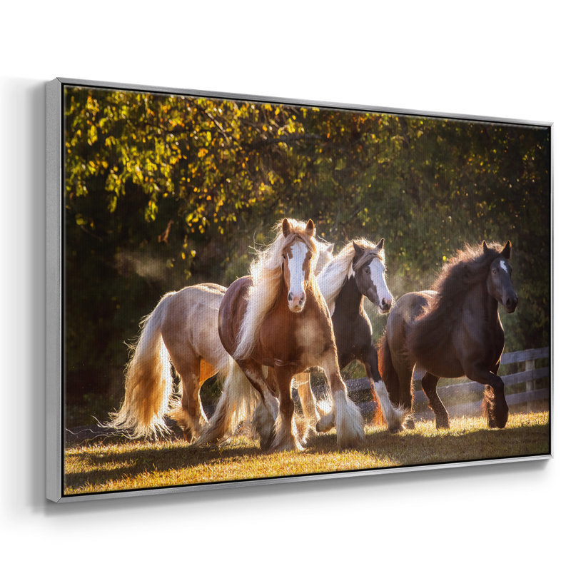 Sunlit Horses III, reproduction d'art sur toile encadrée, H 17 po x l 25 po x P 2 po, Argent