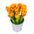 Orange est en rupture de stock