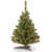 Kincaid 3' Pre-Lit Spruce Tree