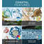 Décoration pour tortue de mer LG 22 po - brun