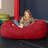 Jaxx Jr. Bean Bags Microfiber / Microsuede Bean Bag Chair & Lounger-19034373
