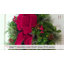Adjustable Wreath Hanger-62101301
