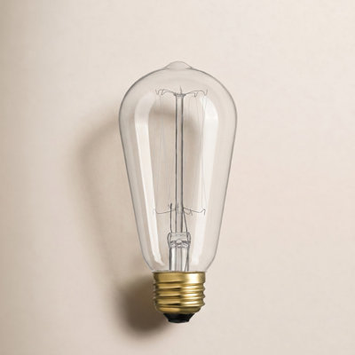 Lyle 60W ST19 Incandescent Dimmable Bulb