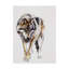 Tellico «European Wolf», reproduction de peinture acrylique sur toile tendue-27652749