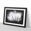 Birds In The Trees Paint Splash - Framed Print-56890914-56890919
