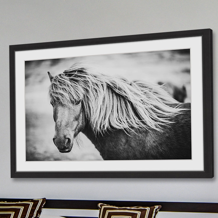 «Beautiful Mane», reproduction de photo sur papier encadrée, H 30 po x l 45 po x P 1,5 po