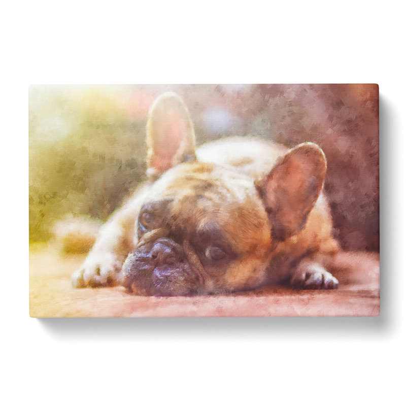 Fawn French Bulldog Dog Painting - Wrapped Canvas, 60cm H x 91cm W x 3cm D