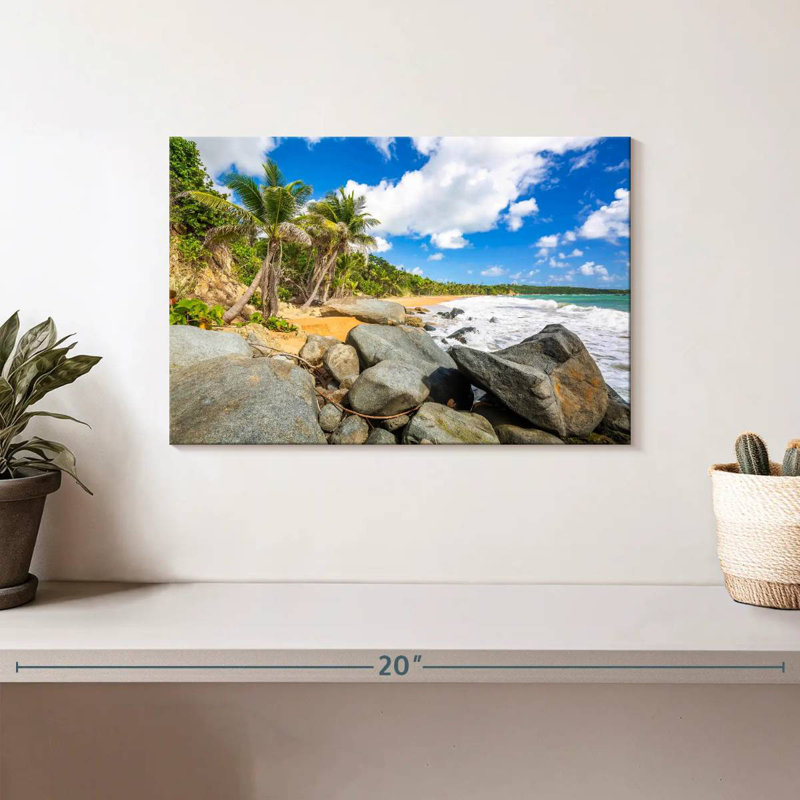Plage de flamenco rocheux, H 8 po x l 12 po