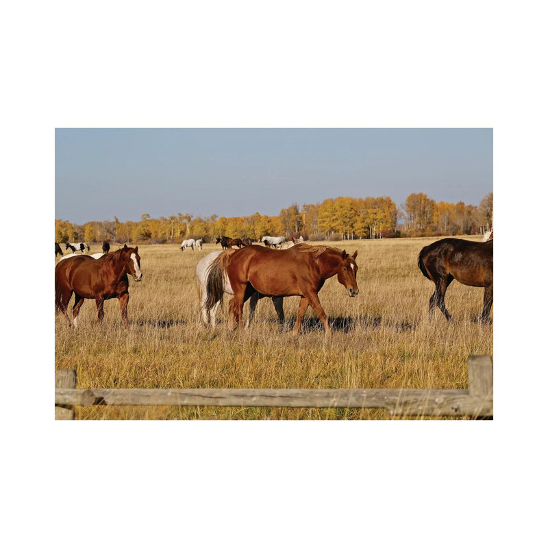 Group of Horses I 1 Piece Wrapped Canvas Wall Art, 101.6 cm H x 66.04 cm W x 1.91 cm D