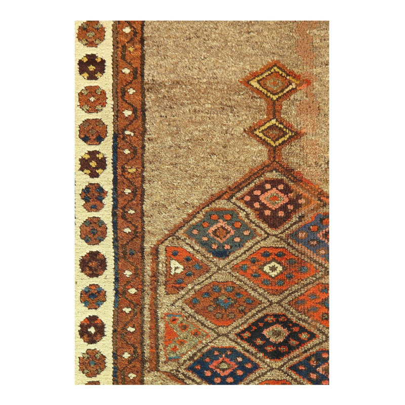 Kuulei Cotton Oriental Area Rug in Brown