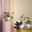Eva Ceramic Planter