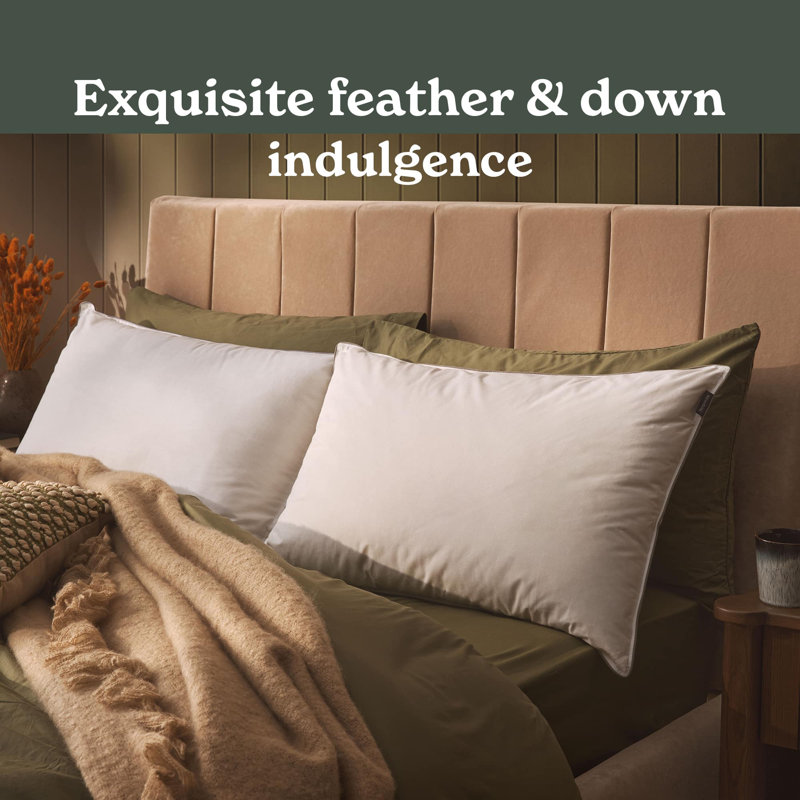 Sleepeezee Natural Feather and Down Pillow