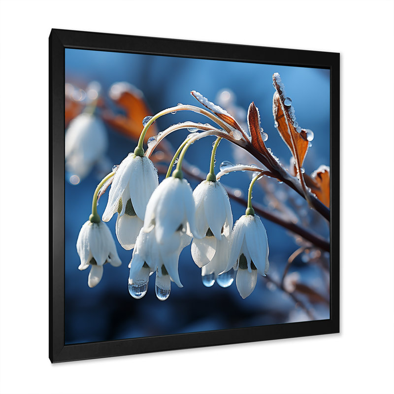 Décoration murale Frost Snowdrop Flower II - Snowdrops, Cadre simple noir, H 16 po x l 16 po x P 1 po