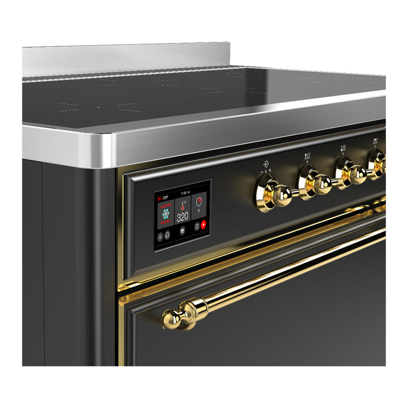 Cuisinière à induction 48 pouces avec 6 éléments à induction en graphite mat Majestic III Series (garniture laiton), Laiton
