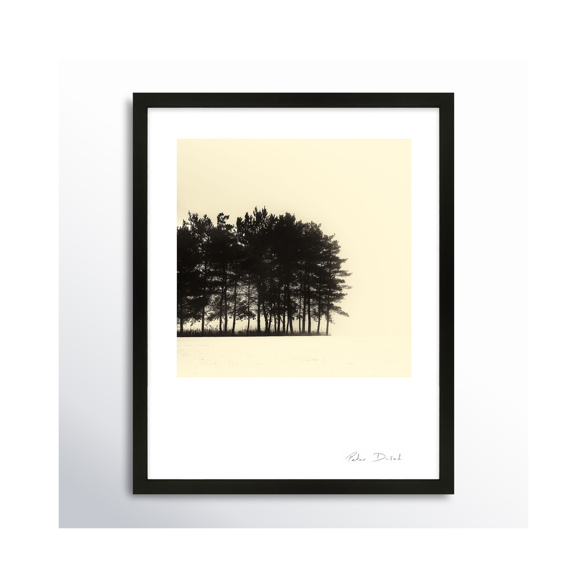 Copse by Peter Dušek, White, 25" H x 20" W x 1.25" D
