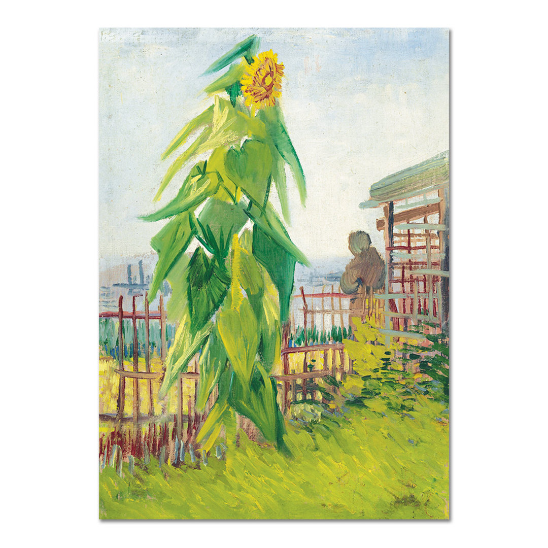 Glasbild Garten mit Sonnenblume von Vincent Van Gogh