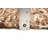 Sienna Brown Rug 5'5" x 8'0"