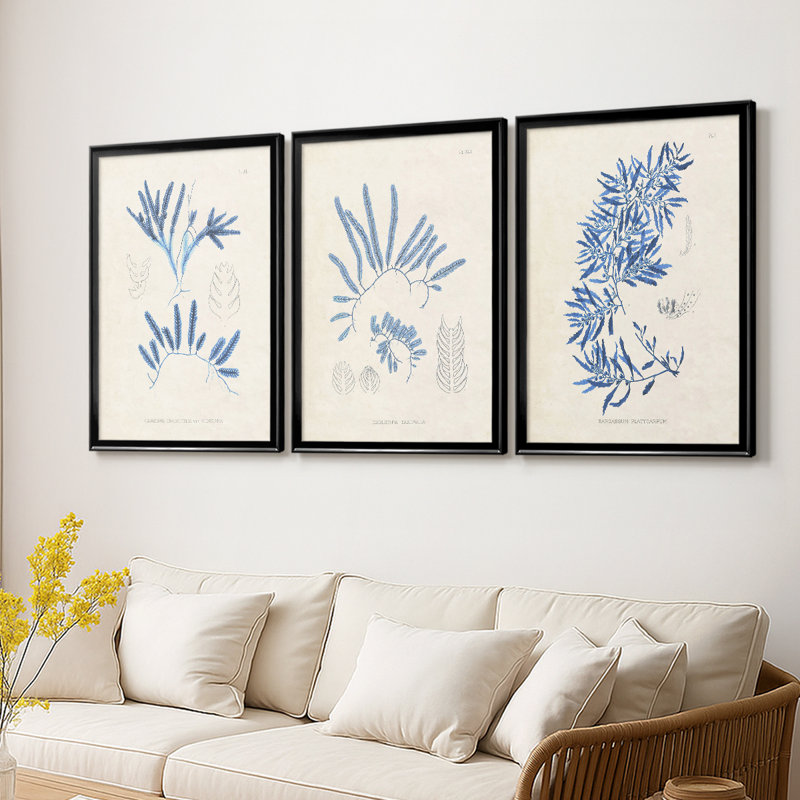 Blue Blue Algae I - Toile tendue avec châssis sur mesure - 3 pièces, Noir, H 21 po x l 30 po