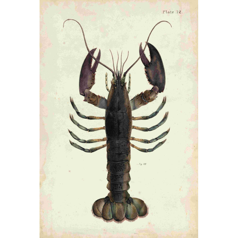 Homard rétro, H 12 po x l 8 po