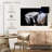 Sireci White Horse And Equestrian-107687577