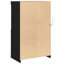 Side Cabinet with LED Lights Storage Sideboard Cupboard Engineered Wood-809231095