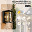 Deshwana 30cm H Outdoor Wall Lantern