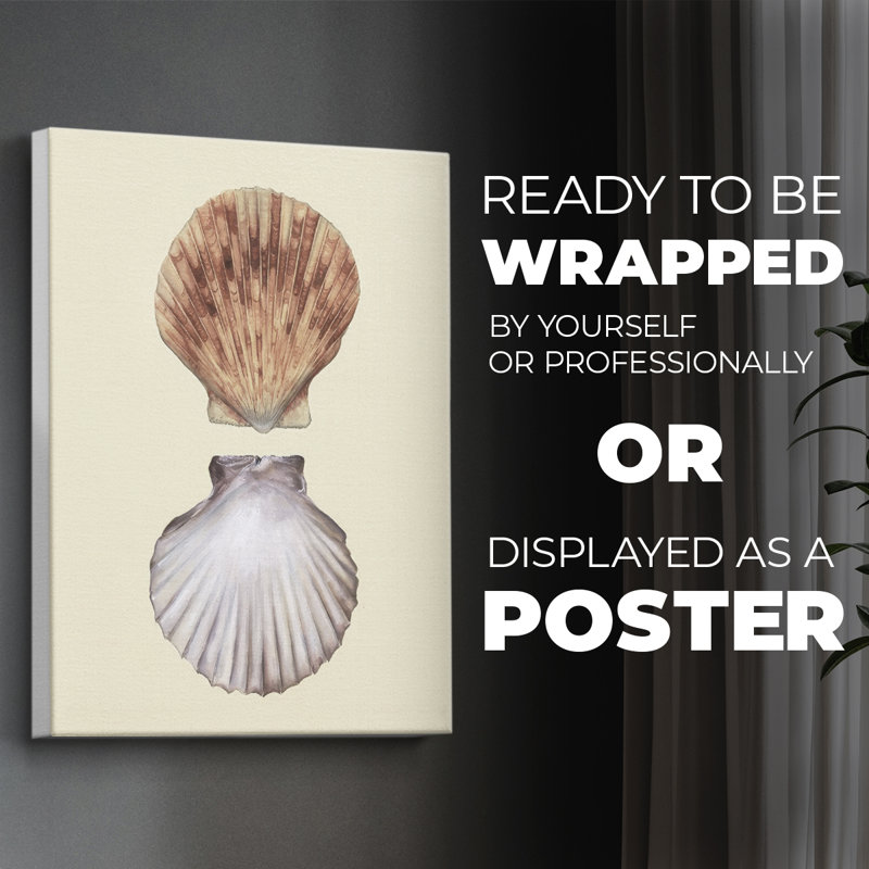 Bivalve Shells III - Impression sur toile seulement - NON CADRE, H 18 po x l 12 po