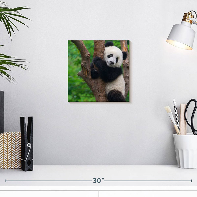 Bramble adorable panda, H 10 po x l 10 po