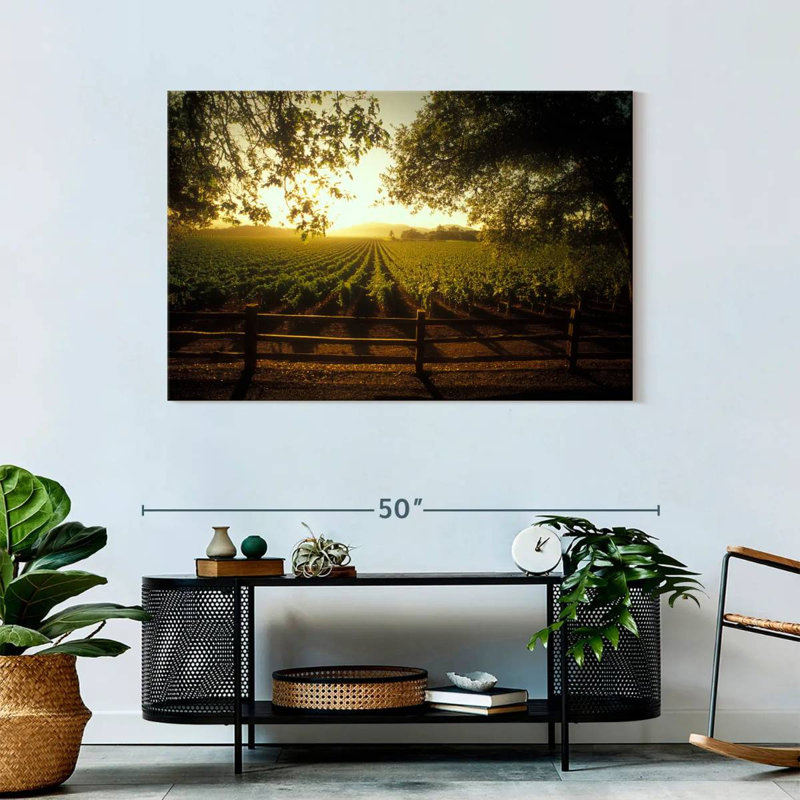 Alvord Oakville Vineyard, H 30 po x l 45 po