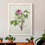 «Pretty Pink Botanicals V», reproduction sur toile encadrée-424888224-424888254