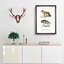 Golden Jackal & Striped Hyena by Charles D' Orbigny - Picture Frame Graphic Art Print-55608321-55608318