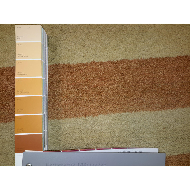 Canvello Hand Made Modern All Over Indo Gabbeh Rug - 3'11'' X 5'11''