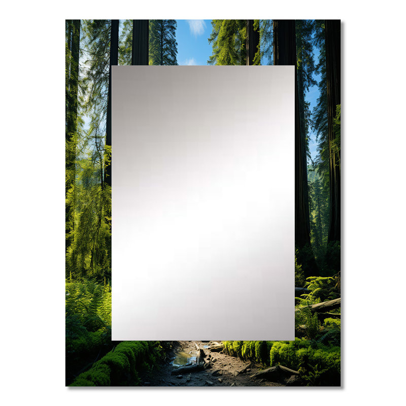 Redwood Giants Tree Forest II - grand miroir séquoia, miroir mural décoratif vert, impression d'art en métal, 32 po x 24 po