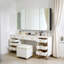 Daciano 100cm W 60cm H Surface Mount Mirror Cabinet 
