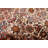 Bijar Cream Rug 6'3" x 9'8"