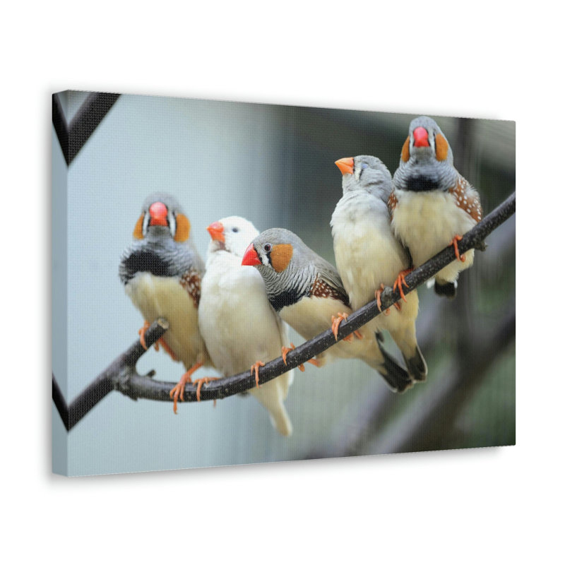 No Frame Print on Canvas, 11cm H x 14cm W