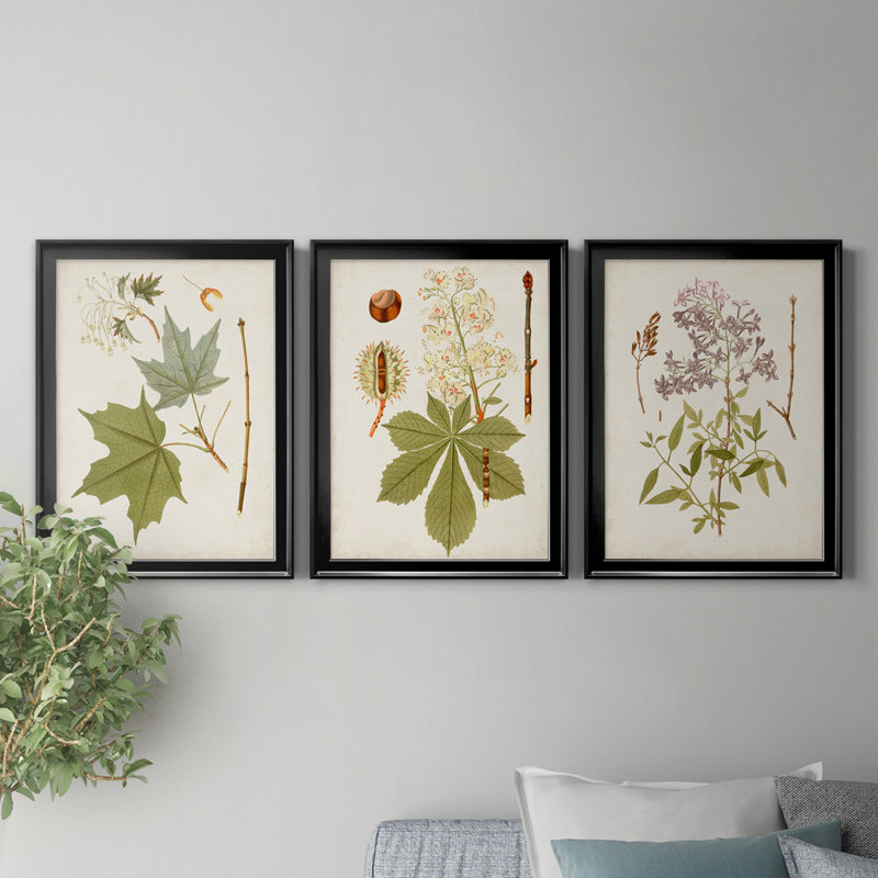 «Antique Leaves VII», ensemble de 3 impressions sur toile encadrées, H 18,5 po x l 73,5 po x P 1,5 po, Toile avec cadre noir