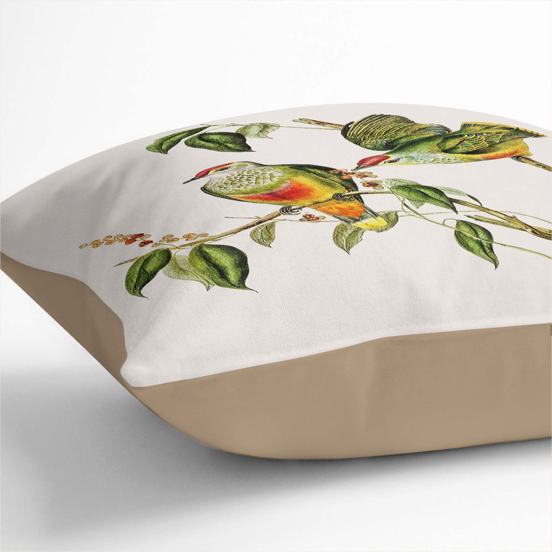 Swainson's Fruit Pigeons by Elizabeth Gould Cushion with Filling, 40cm H x 40cm W x 15cm D, Stone