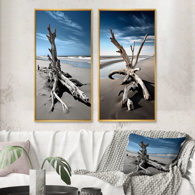 " Beach Driftwood Photo " 2 - Pieces