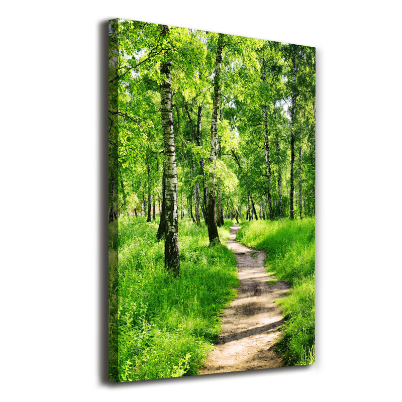 Birch Forest - Wrapped Canvas Print