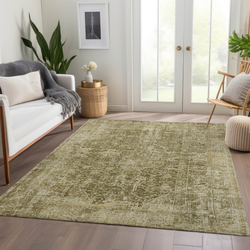 Machine Washable Indoor/Outdoor Claudian ACN1663 Brown Rug, Rectangle 10 pi x 14 pi