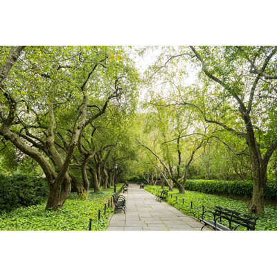 Park In The City - Wrapped Canvas Print