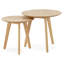 Dickinson Nesting Tables-29154088